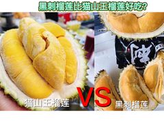 -天虹商场(后海店)