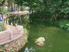 -人民公园(罗湖区)