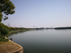 -漕湖湿地公园