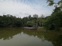 -四海公园(南山区)