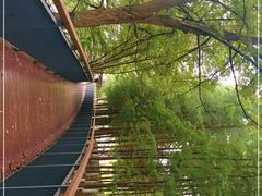 -月湖风景区