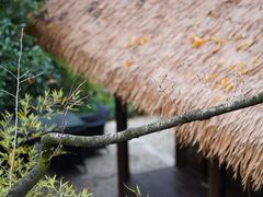-中国茶叶博物馆(双峰馆区)