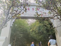 -竹子庵公园