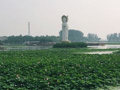 -白洋淀景区