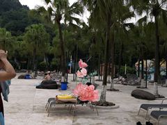 -重庆海昌加勒比海水世界