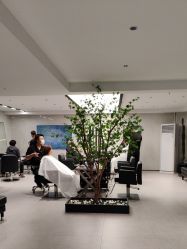 点击看大图 -付军剪艺JF ProSalon