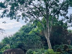 -中国茶叶博物馆(双峰馆区)