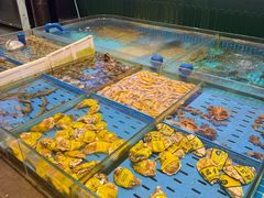 -双合园·海鲜水饺青岛菜(九水东路店)