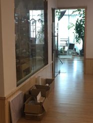 点击看大图 -憨大叔韩式儿童摄影 90店连锁(优加店)