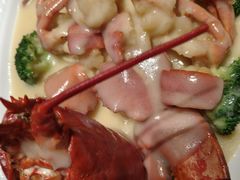 -新兴·金羊座·粤菜点心(乐峰店)