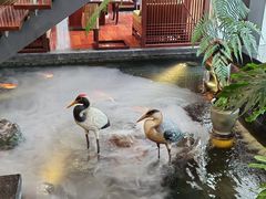 -观海海鲜(蛇口广场店)