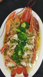-上海金桥红枫万豪酒店·宴会厅