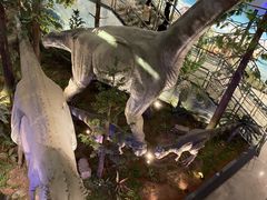 -湖南省地质博物馆