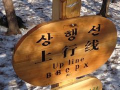 -帽儿山国家森林公园