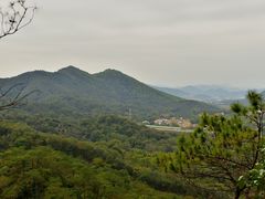 -风云岭森林公园