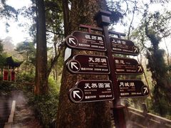 -青城山