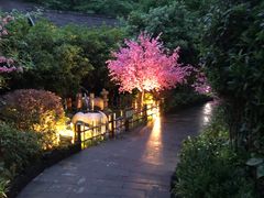 温泉-天目湖御水温泉·度假酒店