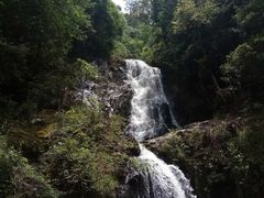 -旗山国家森林公园