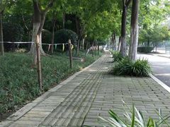 -无锡市市民中心