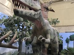 -国家自然博物馆