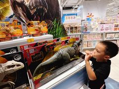 -TOYSRUS玩具反斗城(上海万象城店)
