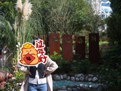 -九龙公园