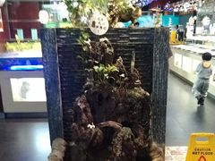 -巴犀烧烤(新崇光店)