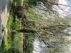 -张家港凤凰山景区河阳山歌馆