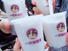 -一只酸奶牛(奎星楼店)