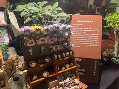 -橡皮书店(翠湖北路店)