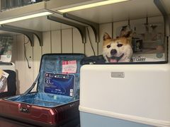 -崇光百货(铜锣湾店)