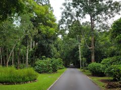 -中国科学院西双版纳热带植物园