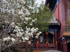 -天津市峰山药王古寺