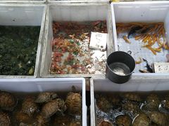 -哈尔滨道外花鸟鱼市场
