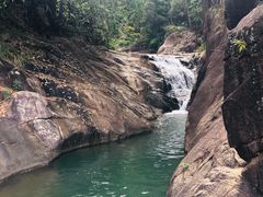 -广州白江湖森林公园