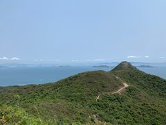 -杨梅坑