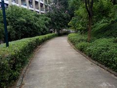 -北京师范大学(珠海校区)