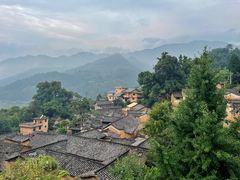 -杨家堂村