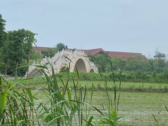 -广富林郊野公园