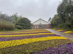 -天目湖涵田度假村