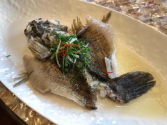 -临江宴(陆家嘴店)
