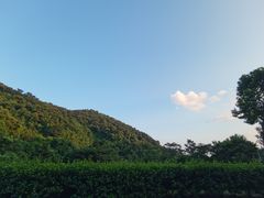 -火炉山森林公园