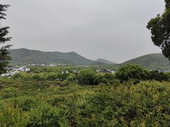 -香雪海