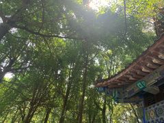 -香园自助小火锅