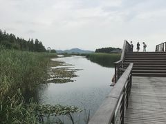 -太湖湖滨国家湿地公园-停车场