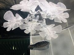 -桐爷小馆(广渠门店)