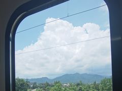 -都江堰中华大熊猫苑