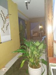 -琦品高端美容SPA私佳美场