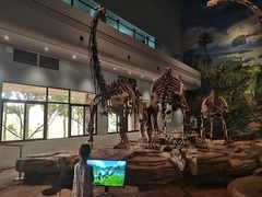-自贡恐龙博物馆