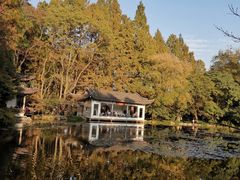 -山外山菜馆(玉泉路店)